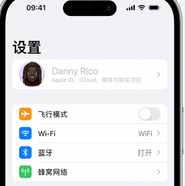 鲁山appleID维修服务iPhone设置中Apple ID显示为灰色无法使用