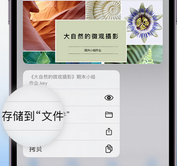 鲁山apple维修中心分享iPhone文件应用中存储和找到下载文件