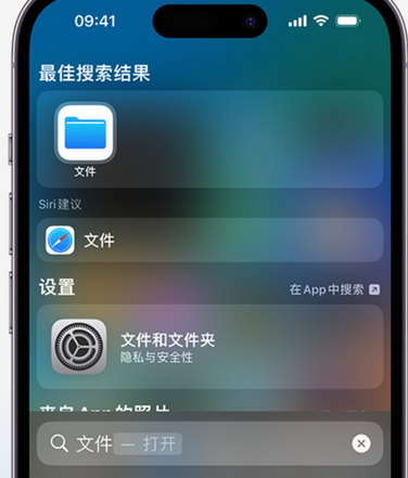 鲁山apple维修中心分享iPhone文件应用中存储和找到下载文件