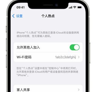 鲁山apple服务站点分享iPhone上个人热点丢失了怎么办