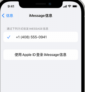 鲁山apple维修iPhone上无法正常发送iMessage信息 