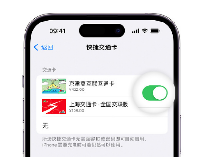 鲁山apple维修点分享iPhone上更换Apple Pay快捷交通卡手绘卡面 