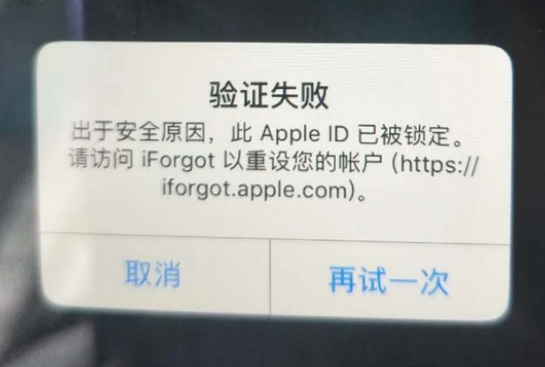 鲁山iPhone维修分享iPhone上正常登录或使用AppleID怎么办 