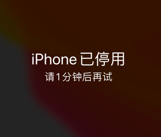 鲁山苹果手机维修分享:iPhone 显示“不可用”或“已停用”怎么办？还能保留数据吗？ 