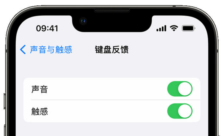 鲁山苹果手机维修分享iPhone 14触感键盘使用方法 