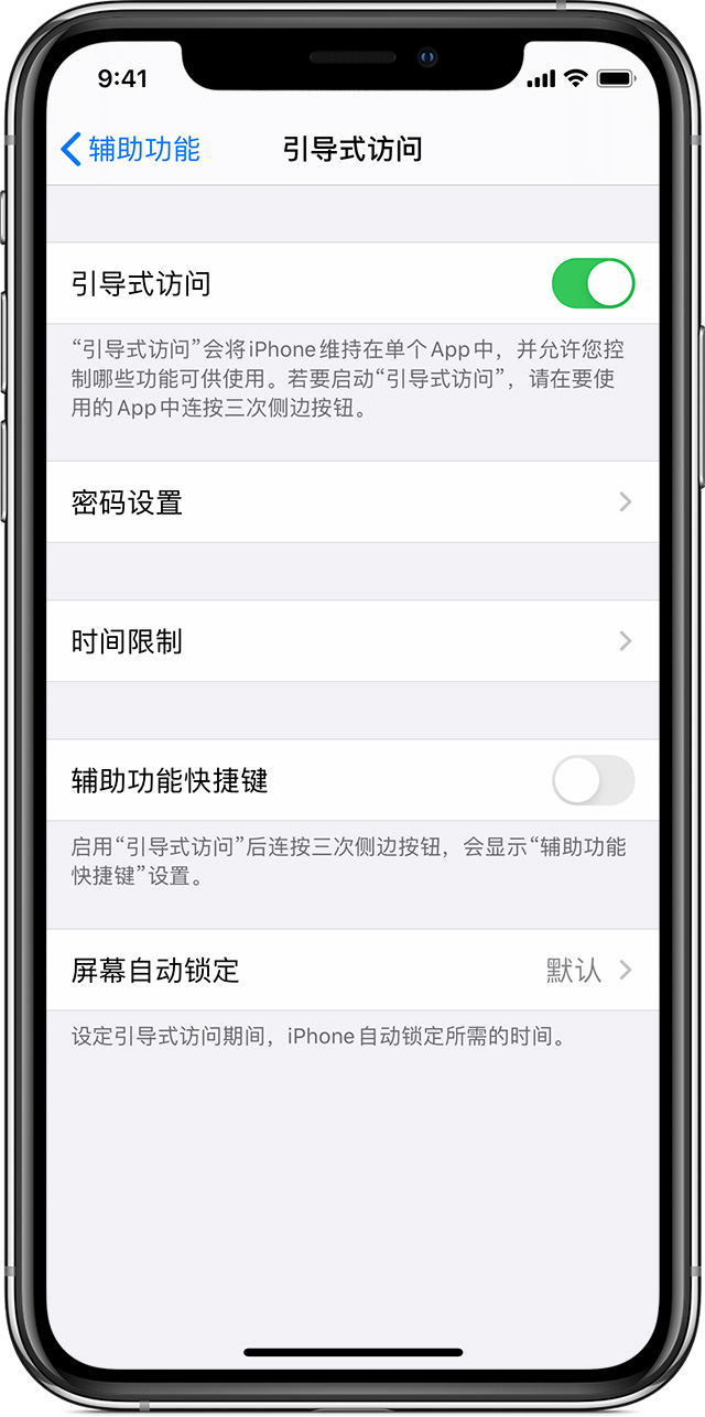 鲁山苹果手机维修分享如何在 iPhone 上退出引导式访问 