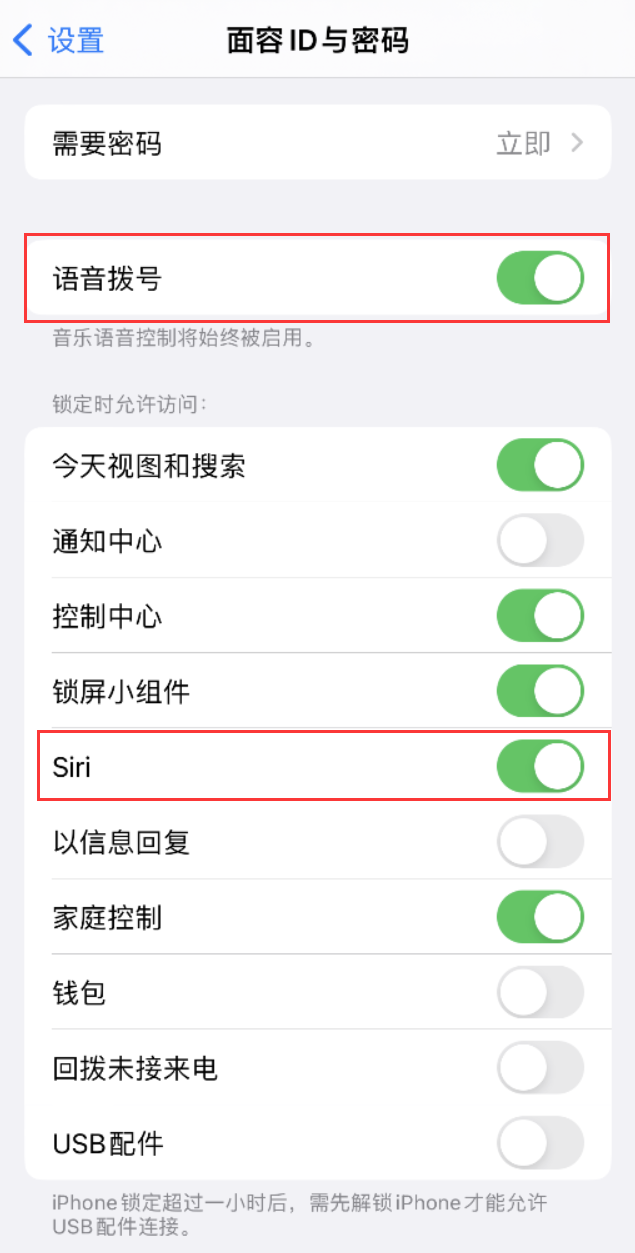 鲁山苹果维修网点分享不解锁 iPhone 的情况下通过 Siri 拨打电话的方法 