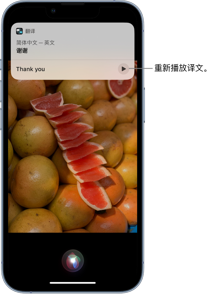 鲁山苹果14维修分享 iPhone 14 机型中使用 Siri：了解 Siri 能帮你做什么 