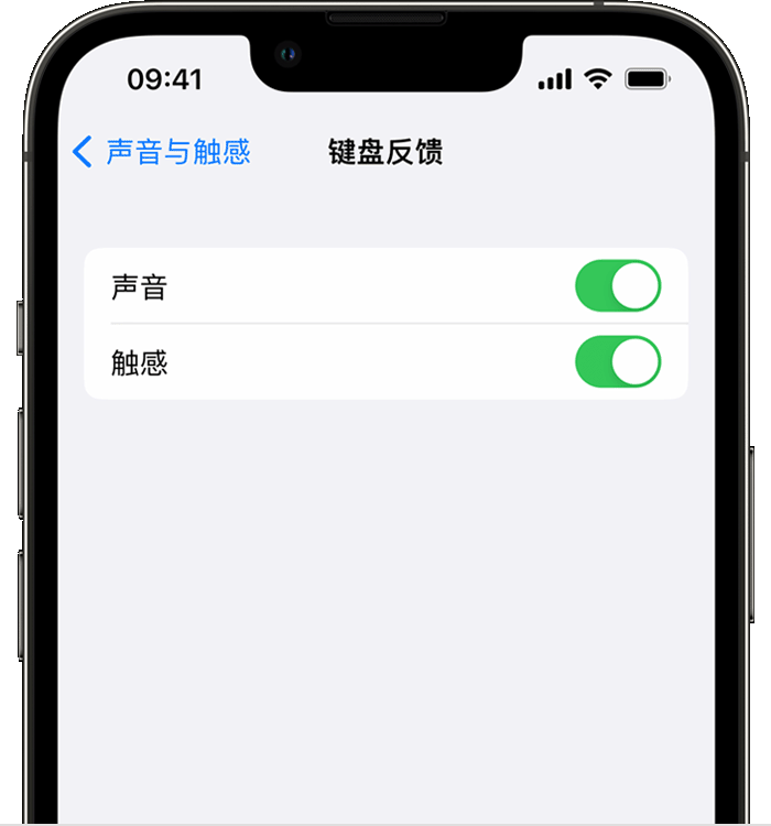 鲁山苹果14维修分享iPhone 14 系列机型如何开启键盘声音或触感反馈 