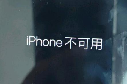 鲁山苹果服务网点分享锁屏界面显示“iPhone 不可用”如何解决 