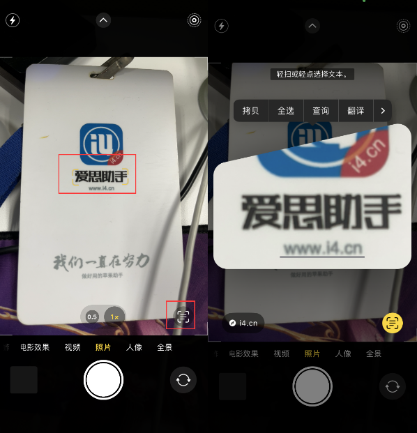 鲁山苹果手机维修分享升级iOS 16后如何通过相机翻译文本 