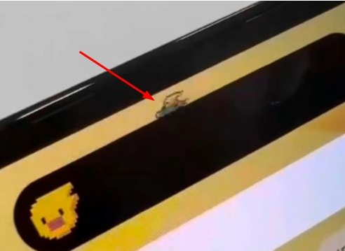 鲁山苹果14维修分享iPhone 14 Pro Max灵动岛怎么养宠物 