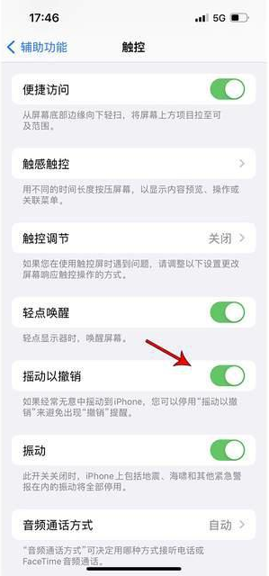 鲁山苹果手机维修分享iPhone手机如何设置摇一摇删除文字 