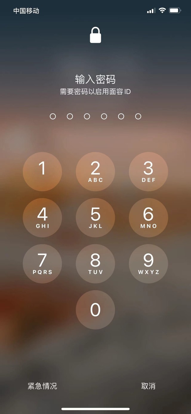 鲁山苹果13维修分享iPhone 13加强锁屏功能有什么用 