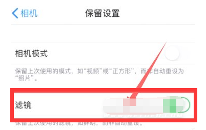 鲁山苹果13维修分享iPhone13拍照有绿点是怎么回事 