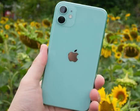 鲁山苹果维修点分享iPhone 11锁屏密码认知与使用科普 